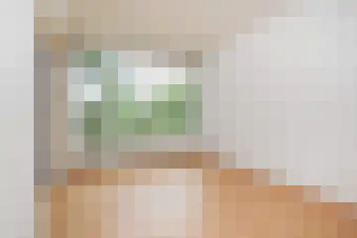 Barnsteenhorst 10 Den Haag thumbnail 7