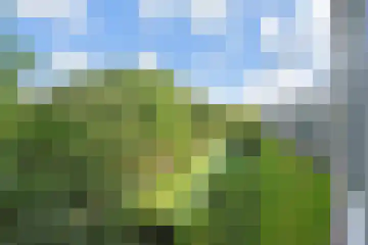 Barnsteenhorst 10 Den Haag thumbnail 9