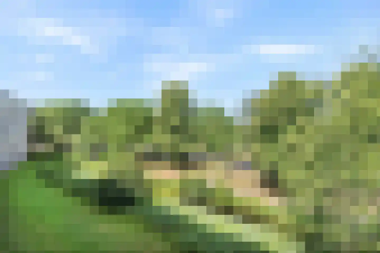 Barnsteenhorst 160 Den Haag thumbnail 6