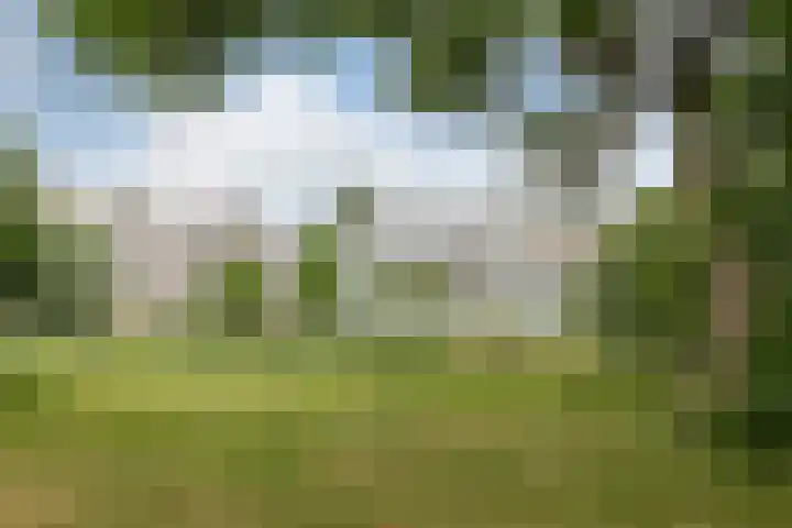 Barnsteenhorst 174 Den Haag thumbnail 31