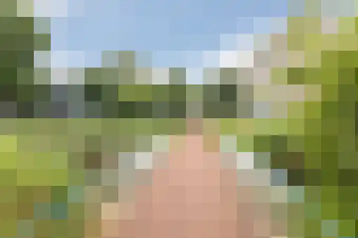 Barnsteenhorst 174 Den Haag thumbnail 32