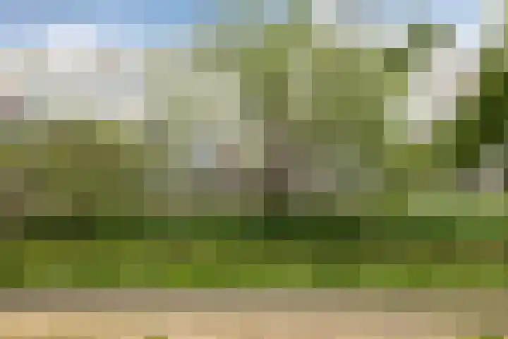 Barnsteenhorst 174 Den Haag thumbnail 33