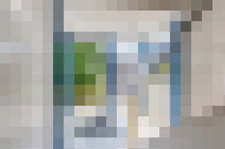 Barnsteenhorst 190 Den Haag thumbnail 32