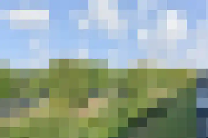 Barnsteenhorst 190 Den Haag thumbnail 6