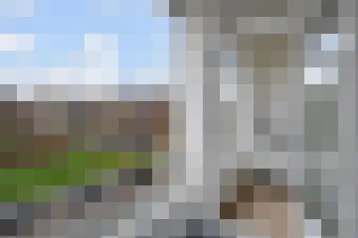 Barnsteenhorst 270 Den Haag thumbnail 13