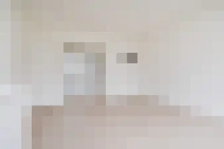 Barnsteenhorst 270 Den Haag thumbnail 7