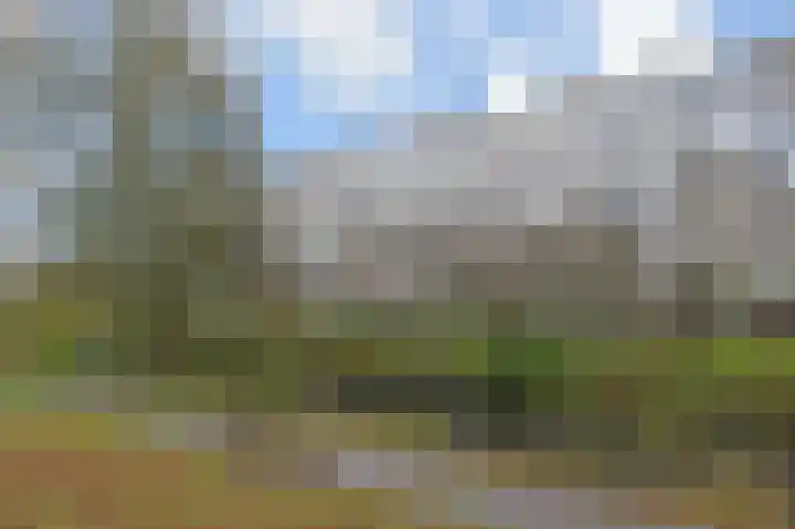 Barnsteenhorst 298 Den Haag