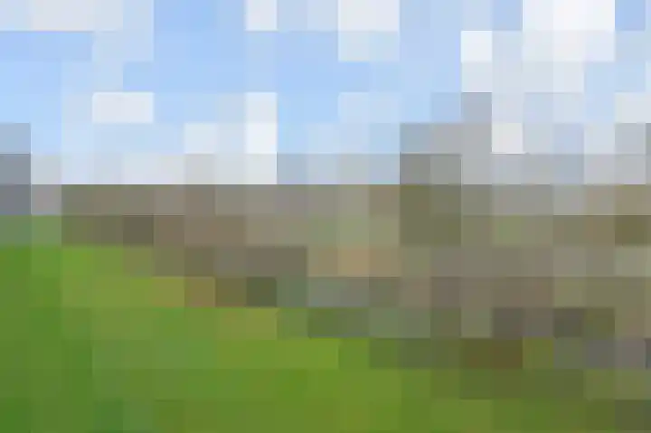 Barnsteenhorst 298 Den Haag thumbnail 9