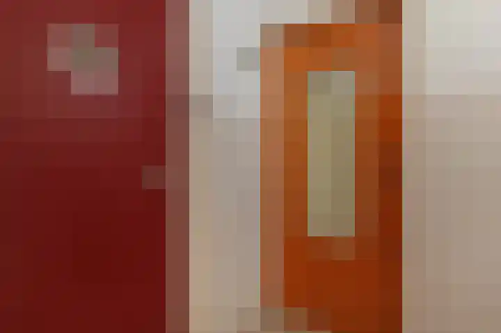 Barnsteenhorst 330 Den Haag foto 3