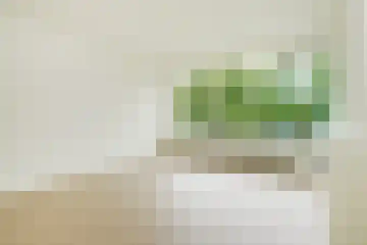 Barnsteenhorst 380 Den Haag thumbnail 7