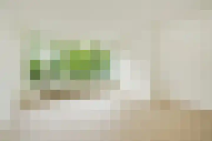 Barnsteenhorst 380 Den Haag thumbnail 8