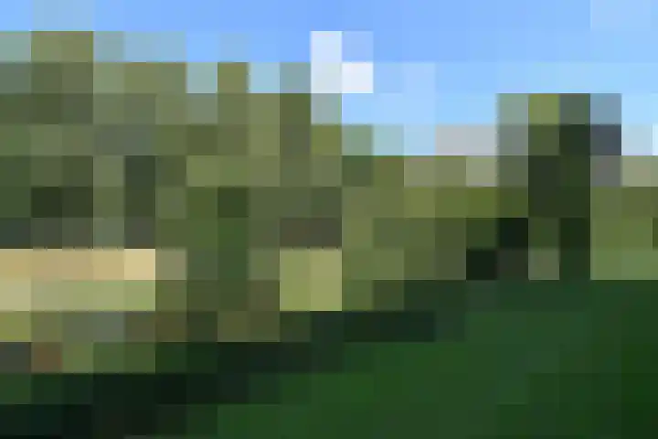 Barnsteenhorst 380 Den Haag thumbnail 9