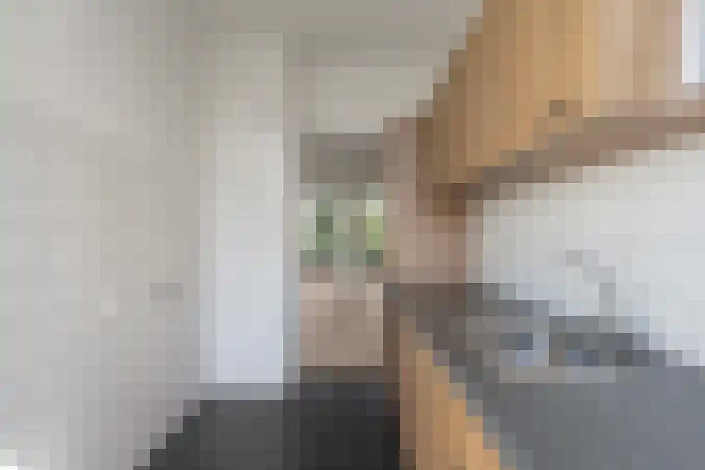 Barnsteenhorst 430 Den Haag thumbnail 13