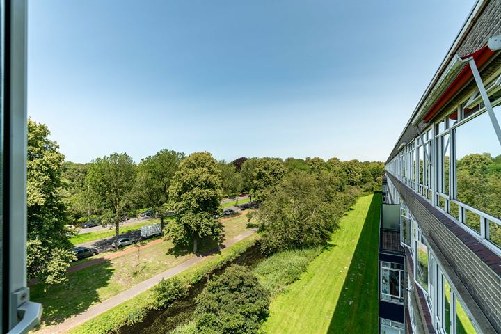 Barnsteenhorst 80 en 's-Gravenhage foto