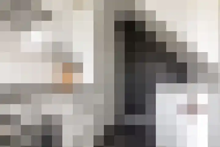 Barnsteenlaan 33 1 Utrecht thumbnail 17