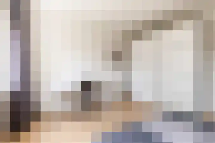 Barnsteenlaan 33 1 Utrecht thumbnail 22
