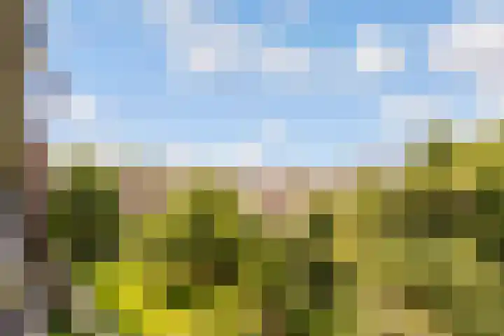 Barnsteenlaan 33 1 Utrecht thumbnail 28