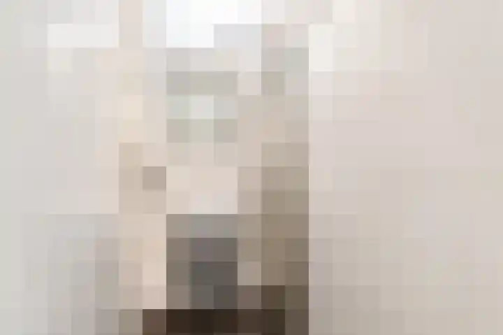 Barnsteenlaan 33 1 Utrecht thumbnail 31