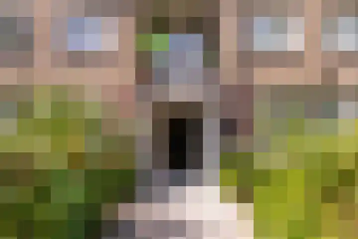 Barnsteenlaan 33 1 Utrecht thumbnail 37