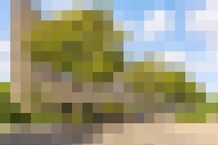 Barnsteenlaan 33 1 Utrecht thumbnail 38