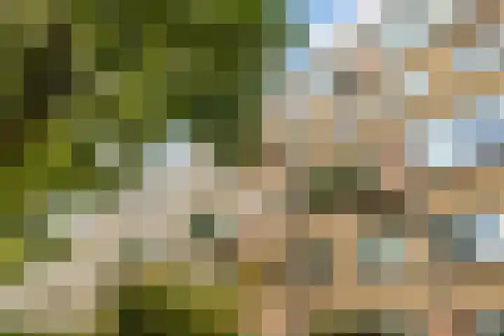 Barnsteenlaan 33 1 Utrecht thumbnail 39