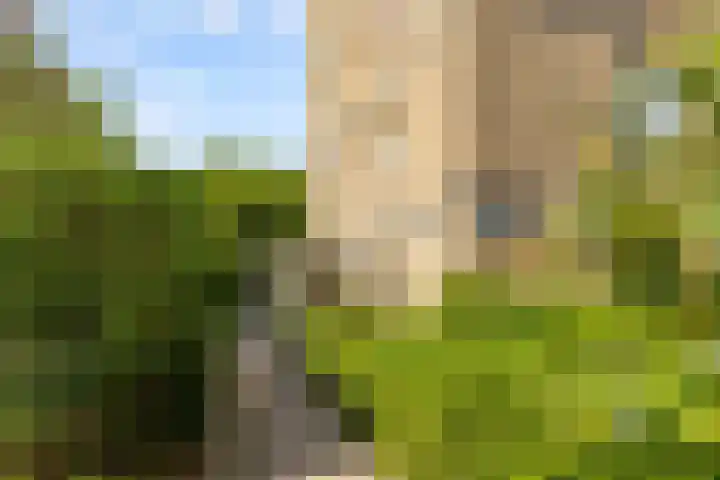 Barnsteenlaan 33 1 Utrecht thumbnail 40