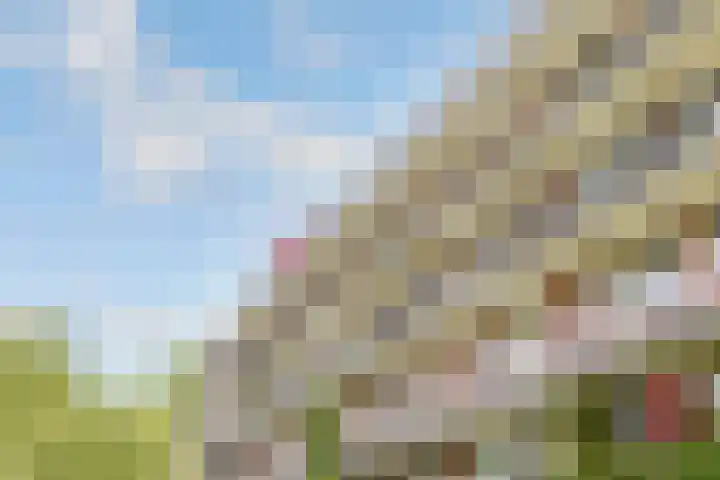 Barnsteenlaan 33 1 Utrecht thumbnail 41
