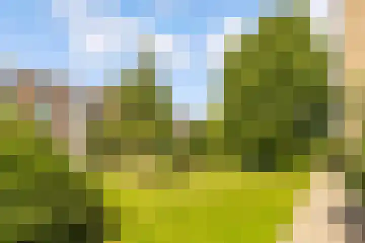 Barnsteenlaan 33 1 Utrecht thumbnail 42