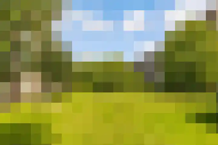 Barnsteenlaan 33 1 Utrecht thumbnail 43