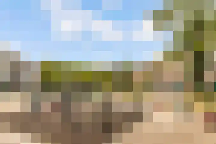 Barnsteenlaan 33 1 Utrecht thumbnail 45