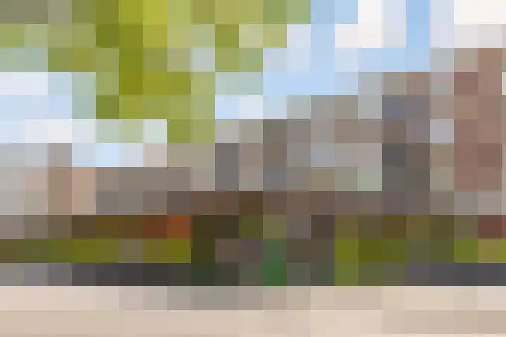 Barnsteenlaan 33 1 Utrecht thumbnail 47
