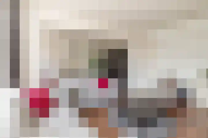 Barnsteenlaan 33 1 Utrecht thumbnail 8