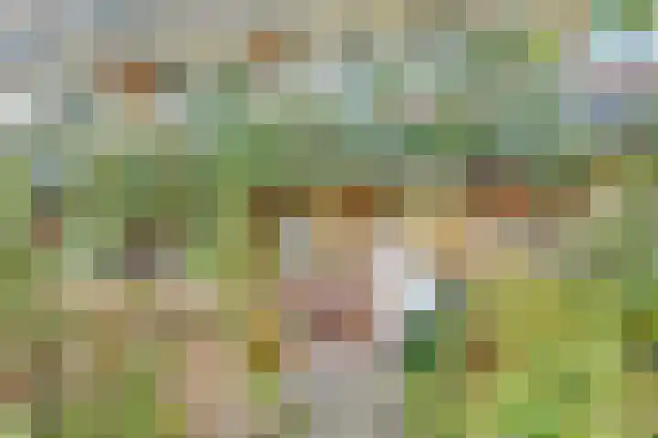 Barnsteenlaan 35 Utrecht