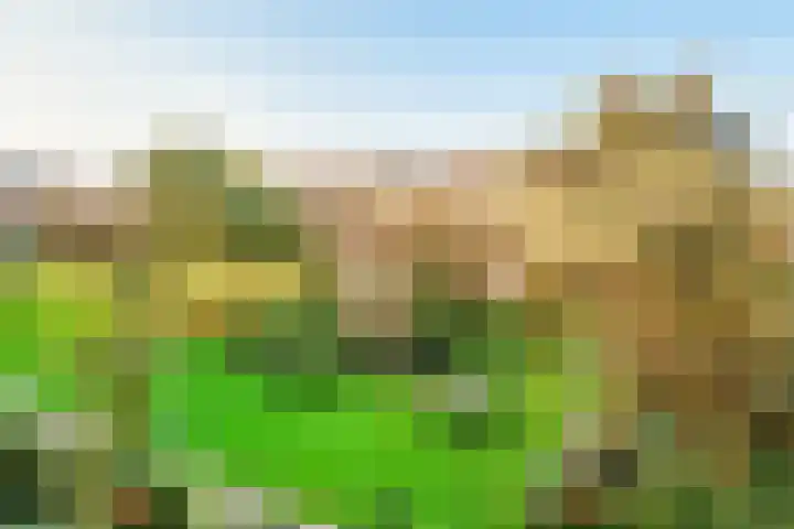 Barnsteenlaan 35 Utrecht thumbnail 26