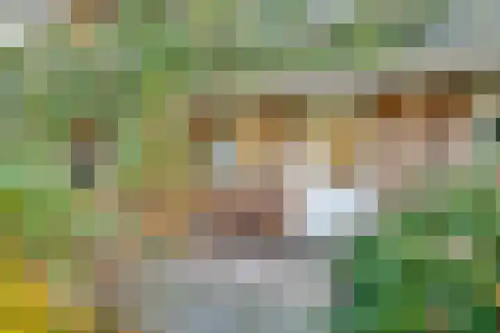 Barnsteenlaan 35 Utrecht thumbnail 36