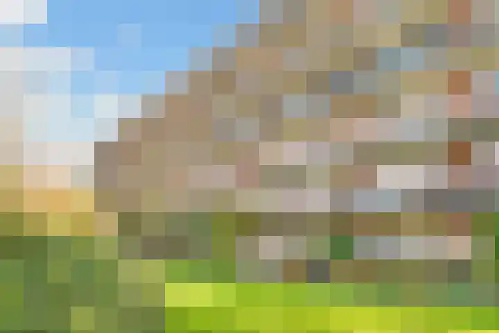 Barnsteenlaan 35 Utrecht thumbnail 38