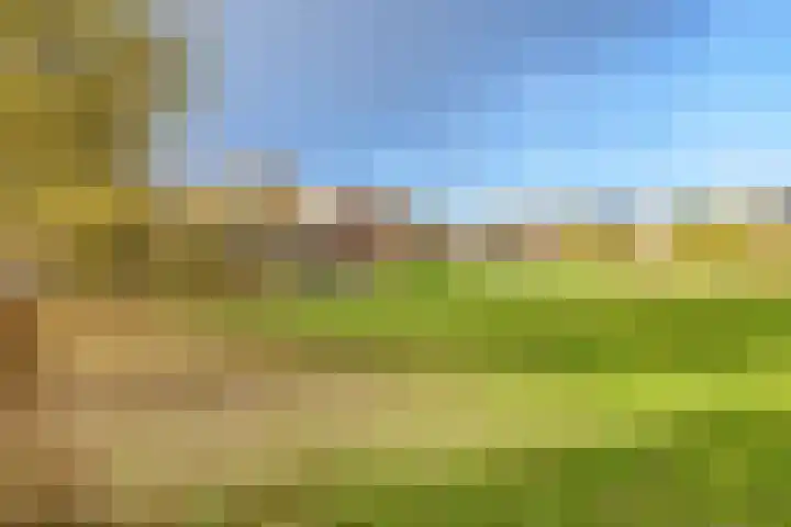 Barnsteenlaan 35 Utrecht thumbnail 40