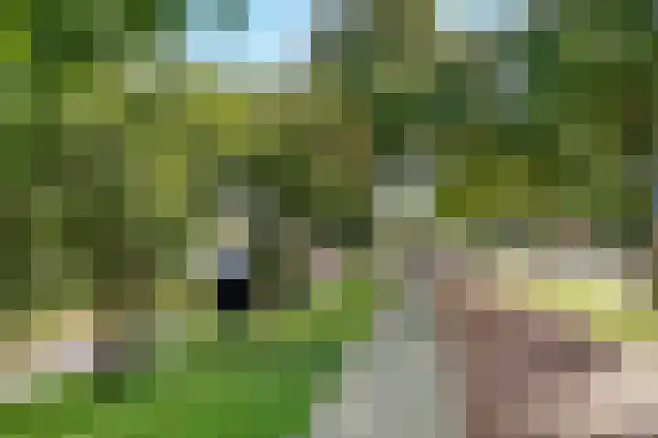 Barnsteenlaan 35 Utrecht thumbnail 42