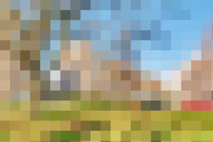 Barnsteenlaan 35 Utrecht thumbnail 6