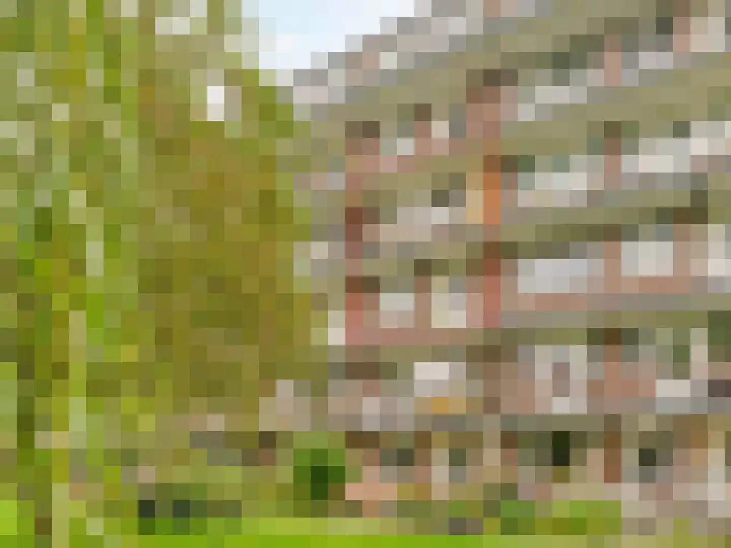 Barnsteenlaan 41 1 Utrecht foto 2