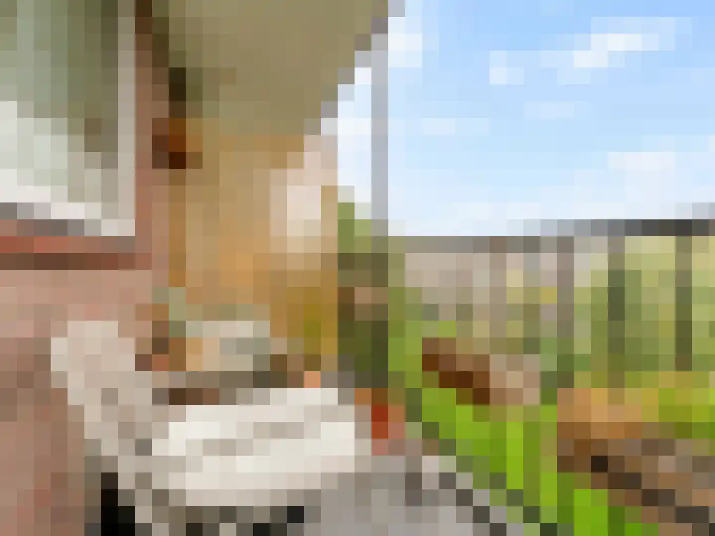 Barnsteenlaan 41 1 Utrecht thumbnail 21