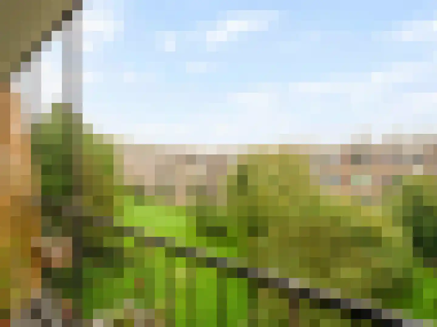 Barnsteenlaan 41 1 Utrecht thumbnail 23