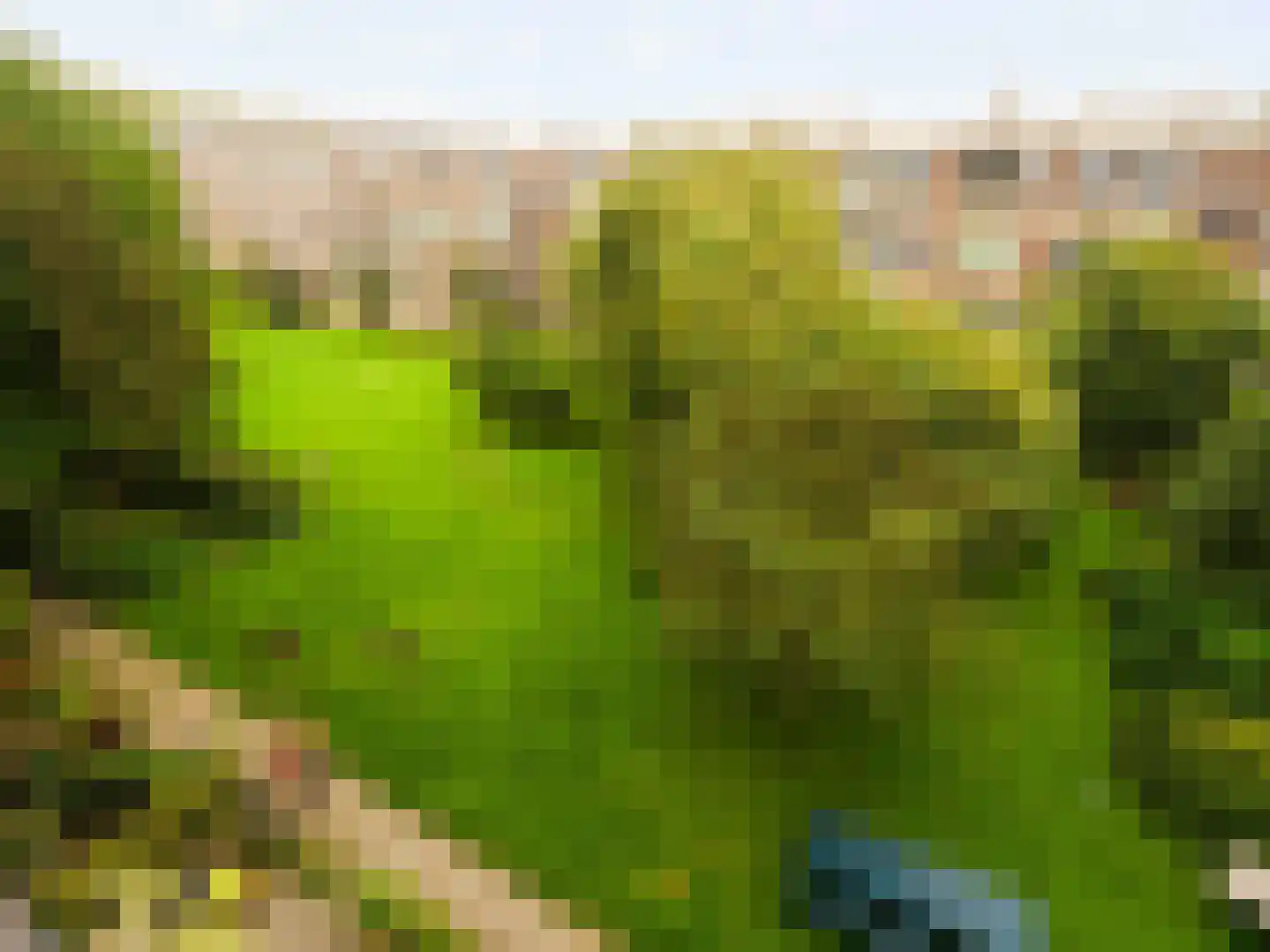 Barnsteenlaan 41 1 Utrecht thumbnail 24
