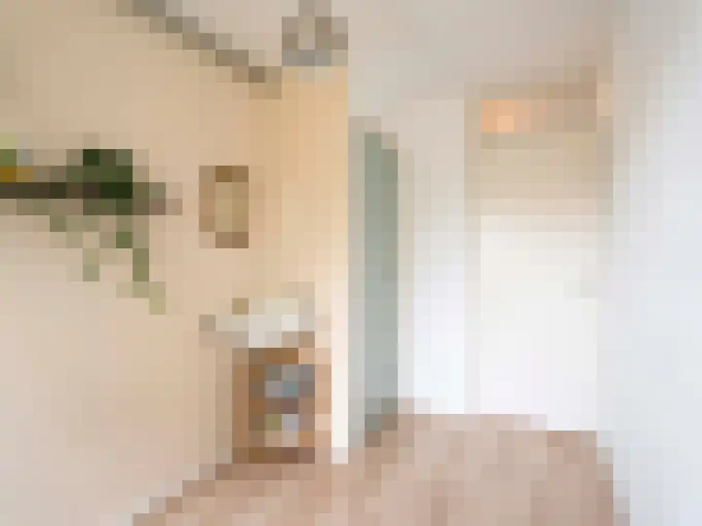 Barnsteenlaan 41 1 Utrecht thumbnail 26
