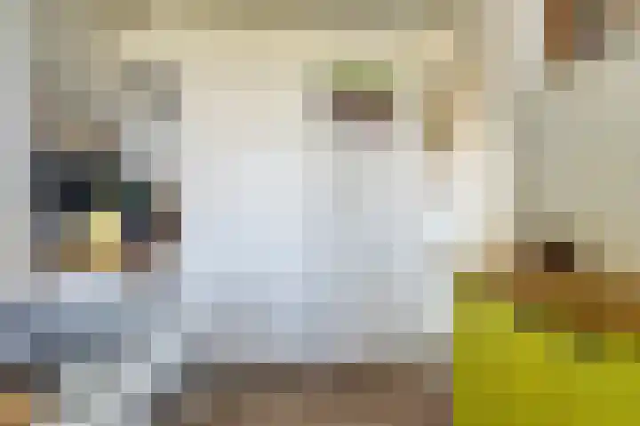 Barnsteenlaan 43 1 Utrecht thumbnail 11