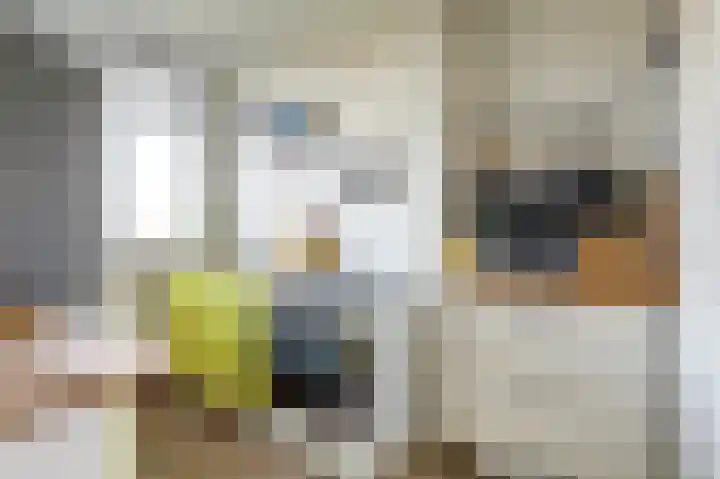 Barnsteenlaan 43 1 Utrecht thumbnail 12