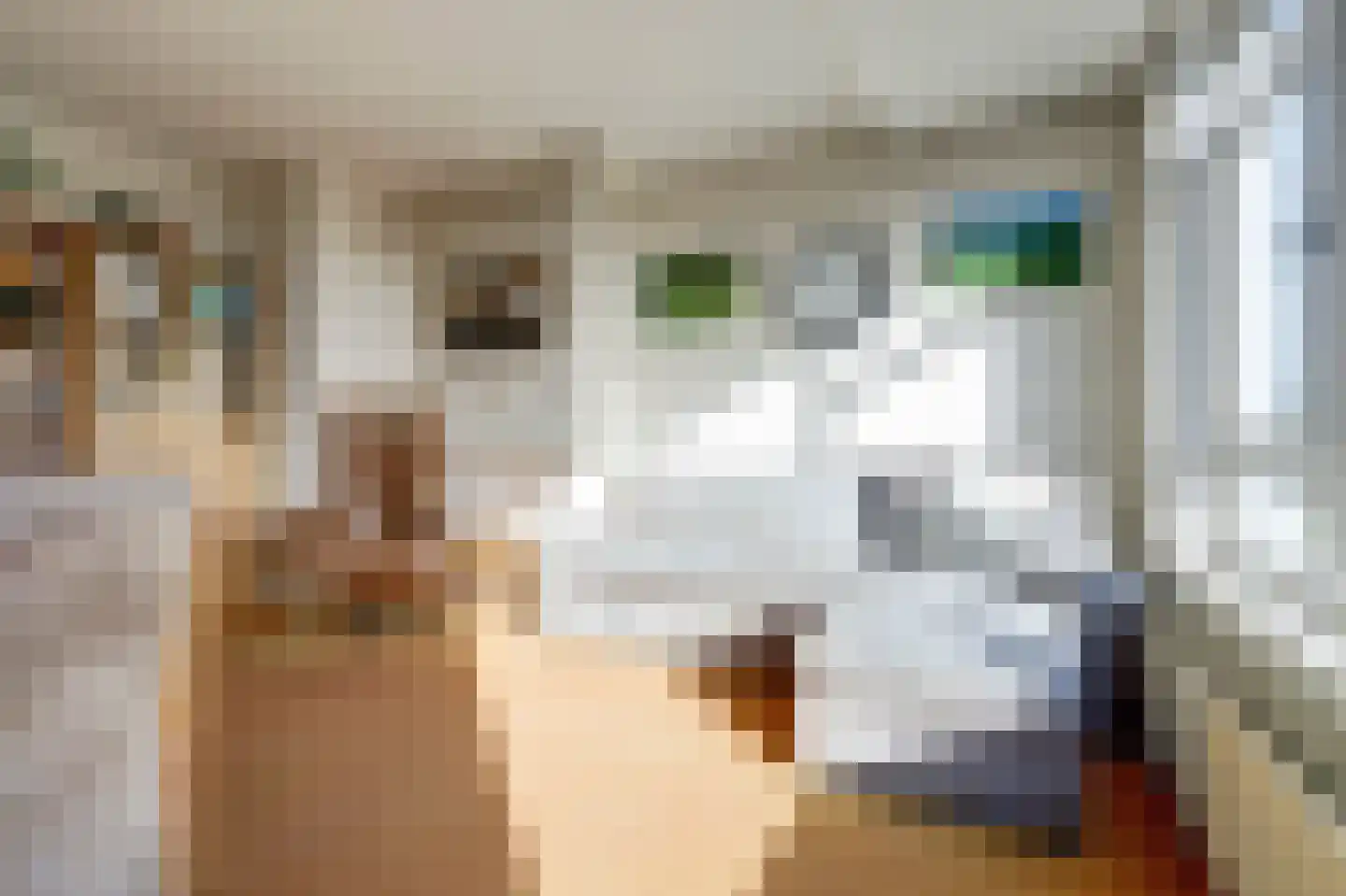 Barnsteenlaan 43 1 Utrecht thumbnail 13