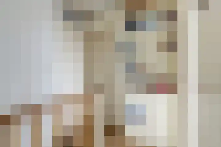 Barnsteenlaan 43 1 Utrecht thumbnail 21