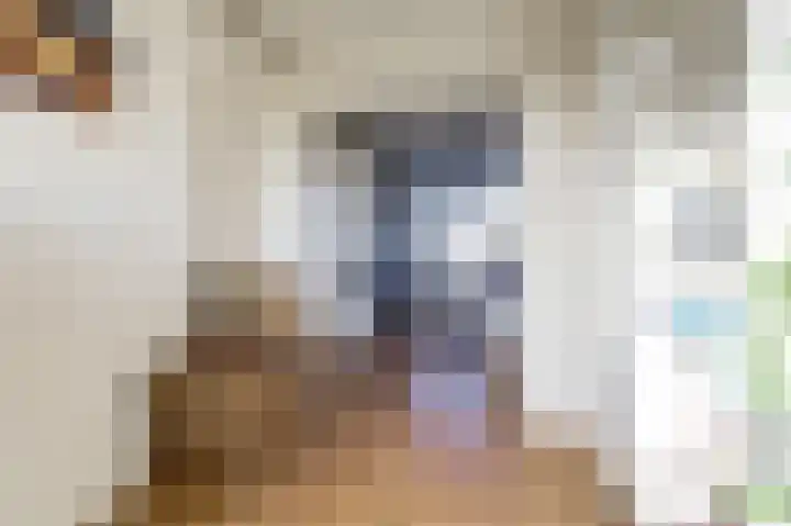 Barnsteenlaan 43 1 Utrecht thumbnail 24