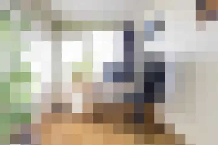 Barnsteenlaan 43 1 Utrecht thumbnail 26